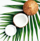 L’anza Healing Curls Butter Shampoo 8 oz - AdrianaBeautySupply II