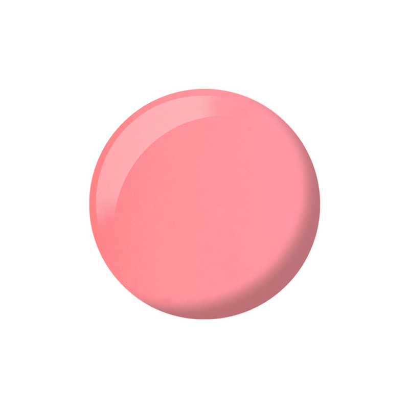 DND723 Zippy - AdrianaBeautySupply II