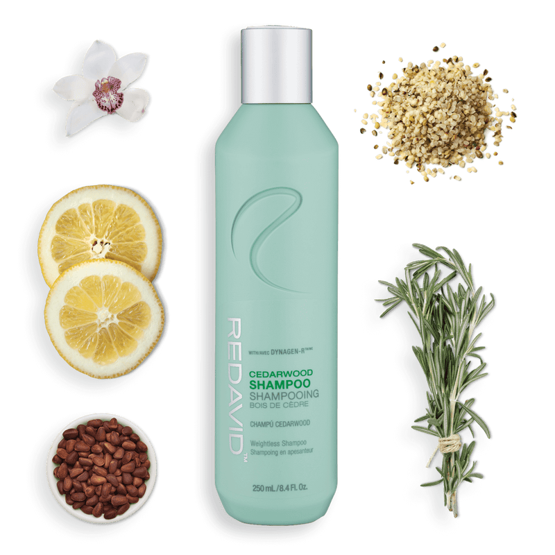 Cedarwood Shampoo