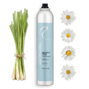 Max Hold Spray - Core Collection - AdrianaBeautySupply II