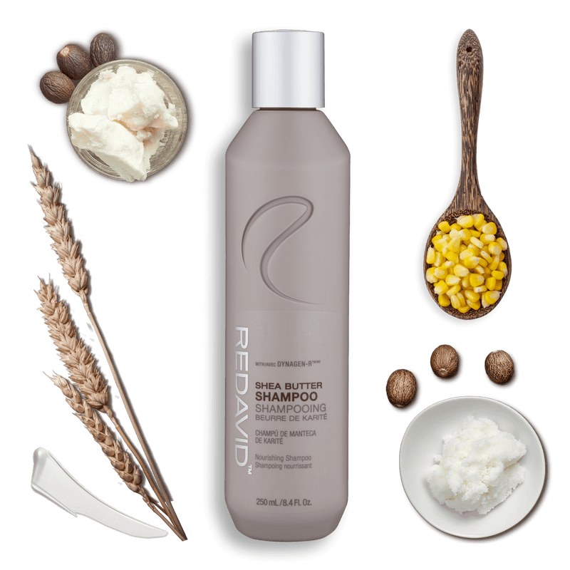 Shea Butter Shampoo